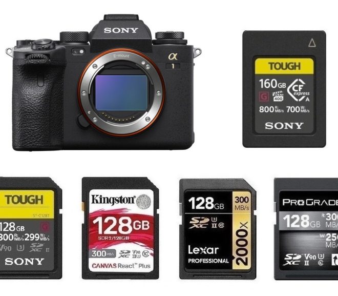 Best Memory Cards for Sony a1