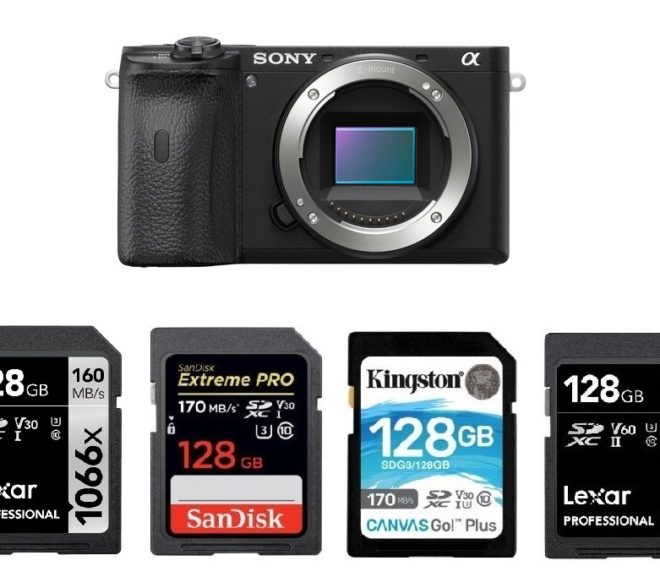 Best Memory Cards for Sony a6600